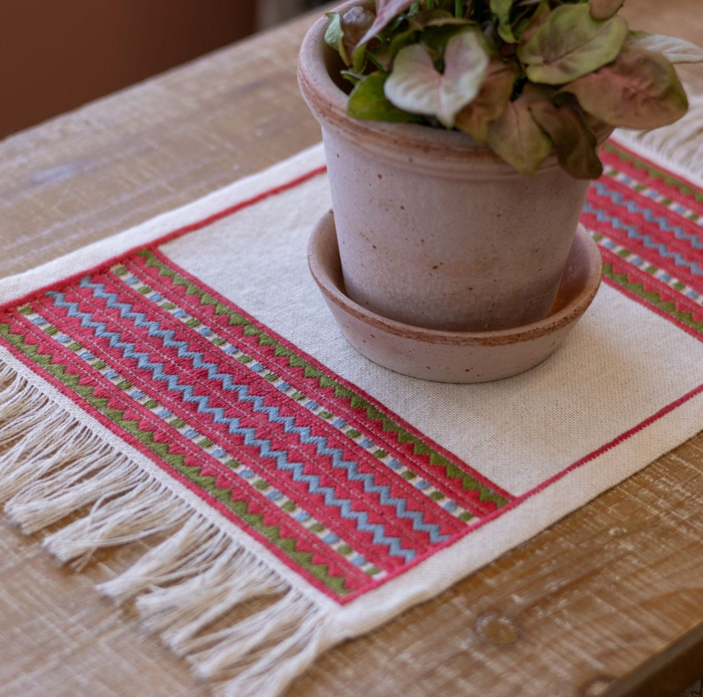 A close-up of an atzolati cross stitch folk embroidery textile with fringe, featuring a red border and geometric stripes in light blue and green, styled on a wooden table next to a potted plant.