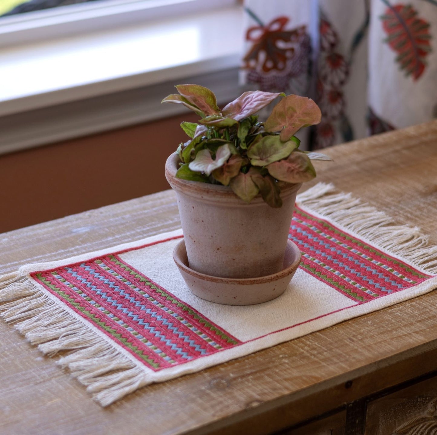 A close-up of an atzolati cross stitch folk embroidery textile with fringe, featuring a red border and geometric stripes in light blue and green, styled on a wooden table next to a potted plant.