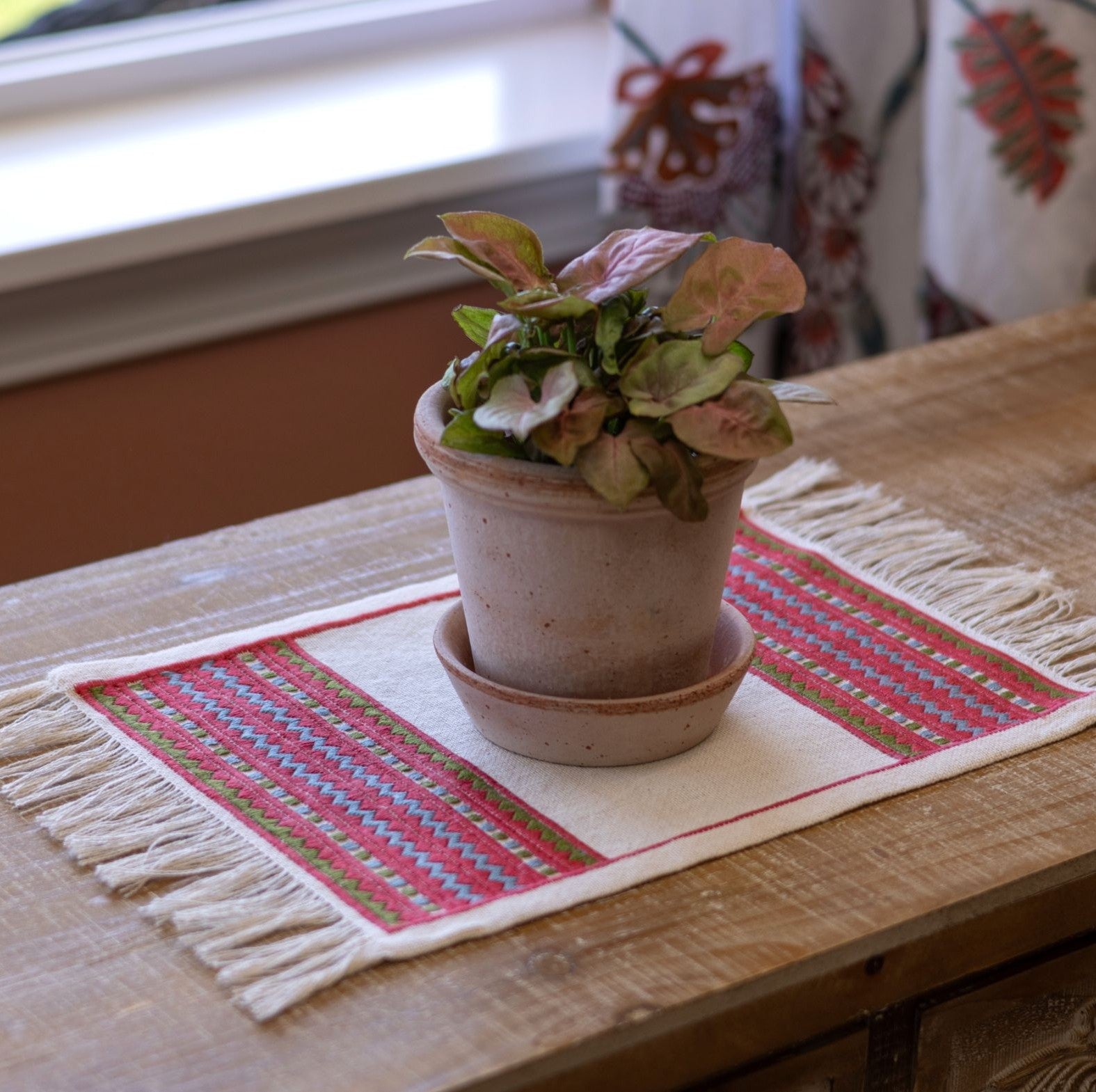 A close-up of an atzolati cross stitch folk embroidery textile with fringe, featuring a red border and geometric stripes in light blue and green, styled on a wooden table next to a potted plant.