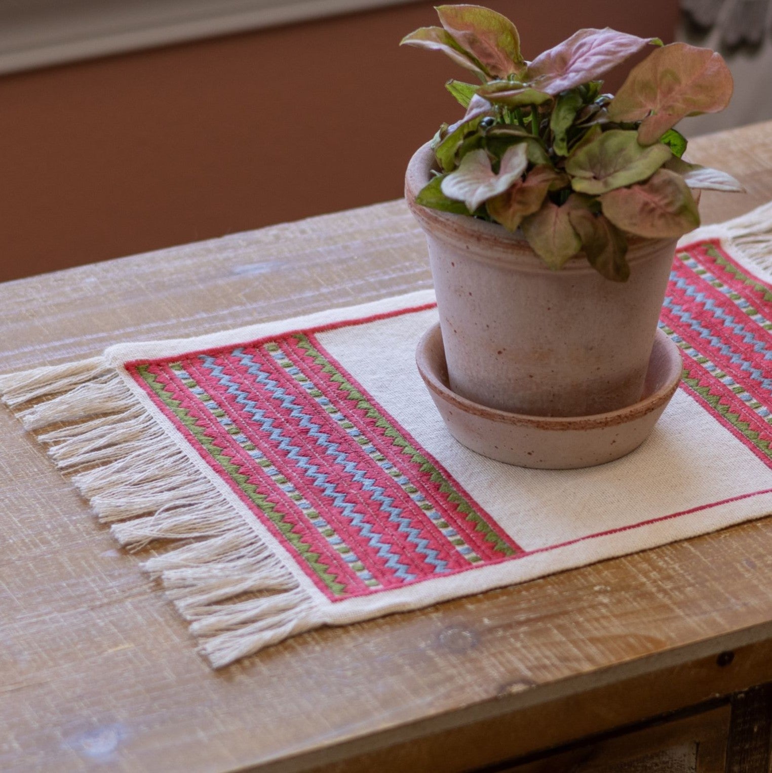 A close-up of an atzolati cross stitch folk embroidery textile with fringe, featuring a red border and geometric stripes in light blue and green, styled on a wooden table next to a potted plant.